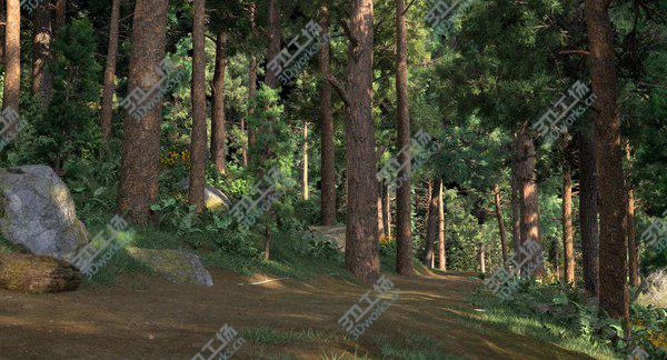images/goods_img/20210312/3D Jungle With Road For Biking and Hiking model/5.jpg
